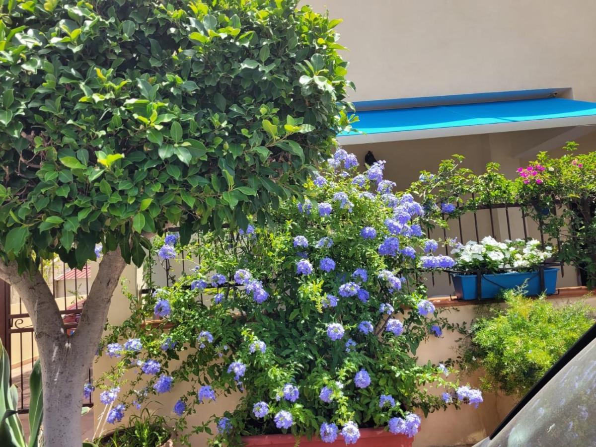 My Little House - Appartamento Con Patio E Parcheggio Privato A 5 Minuti Dalla Spiaggia E Dal Centro Tropea Buitenkant foto